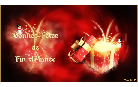 Bonnes fêtes de fin d'année